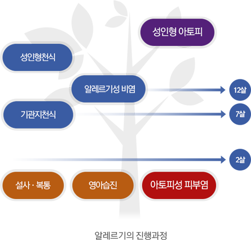 알레르기의진행과정 이미지