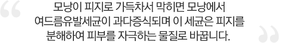 모낭이 피지로 가득차서 막히면 모낭에서 여드름유발세균이 과다증식되며 이 세균은 피지를 분해하여 피부를 자극하는 물질로 바꿉니다.