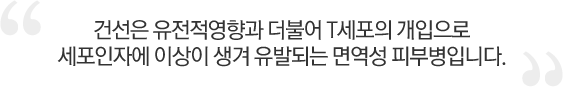 건선은 유전적영향과 더불어 T세포의 개입으로 세포인자에 이상이 생겨 유발되는 면역성 피부병입니다.